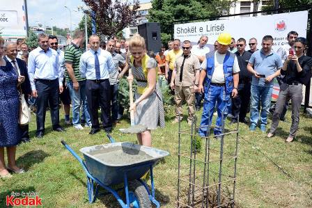 mimoza te gure themei